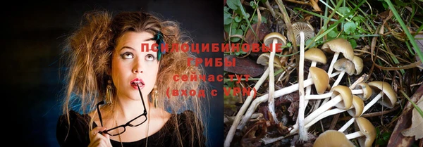 каннабис Алексеевка